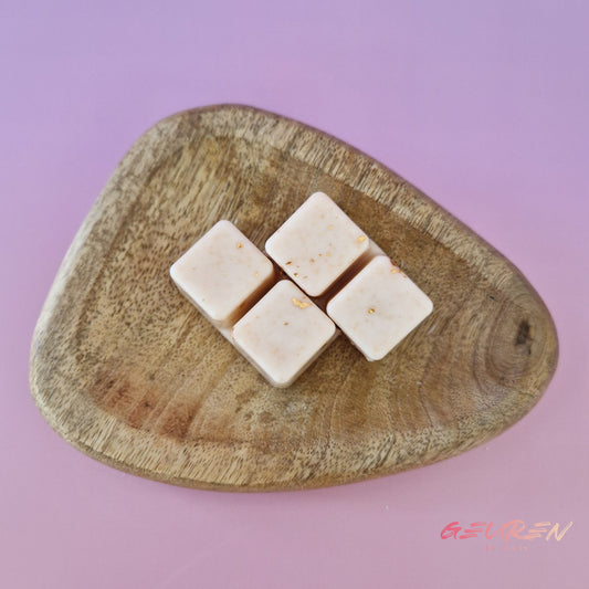 Wax melts Coconut Island