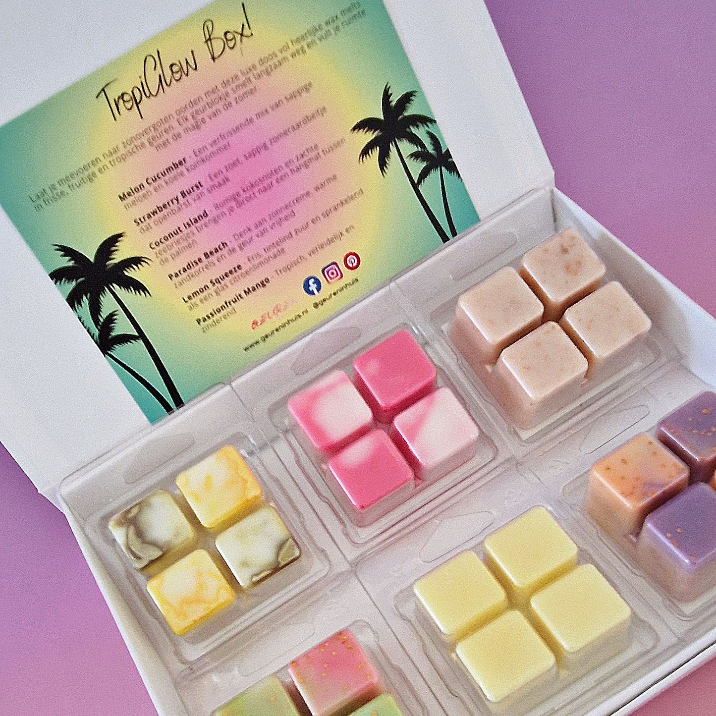 TropiGlow Wax Melts Box