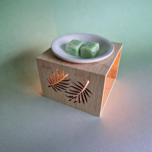 Lime Peppermint wax melts in brander