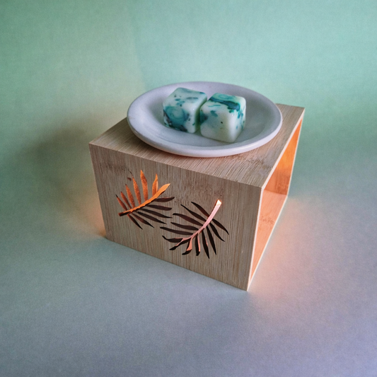 Peppermint Eucalyptus wax melts in brander