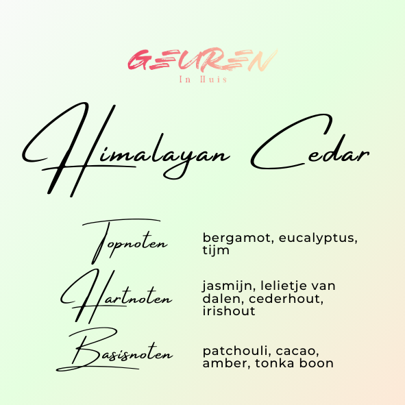 Geurkaars Himalayan Cedar Jasmine