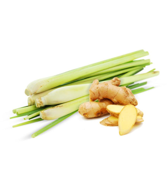 Voordeelbundel Lemongrass Ginger (3 pakjes)