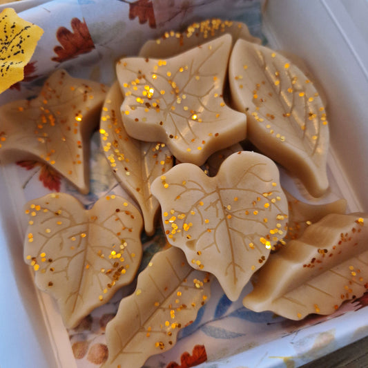 Wax melts Herfst bladeren Cinnamon