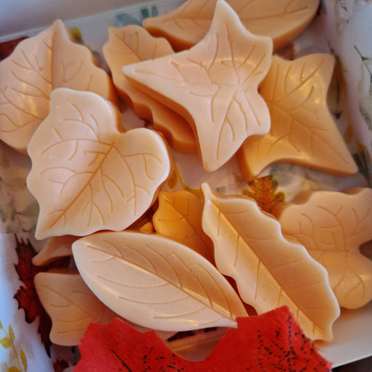 Wax melts Herfst bladeren Mandarin & Orange