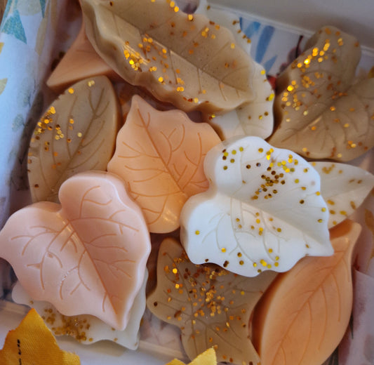 Wax melts Herfst bladeren Mix