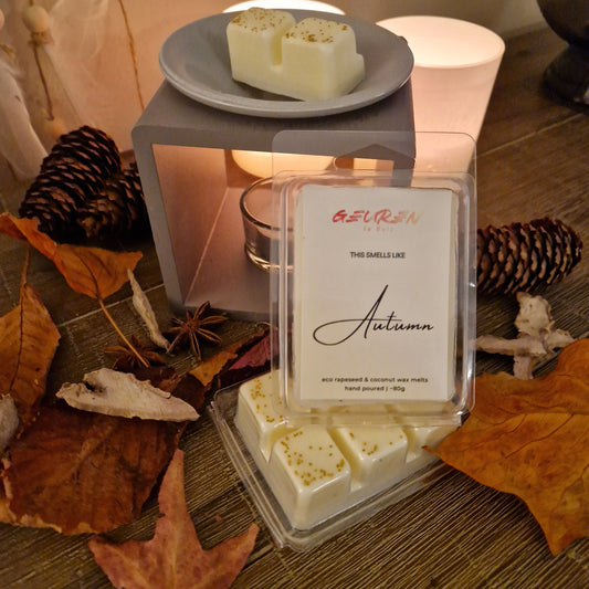 Wax melts Autumn